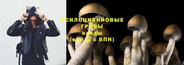 соль курить ск Гусев