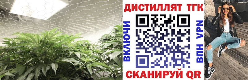 ТГК концентрат Купить закладки Ступино