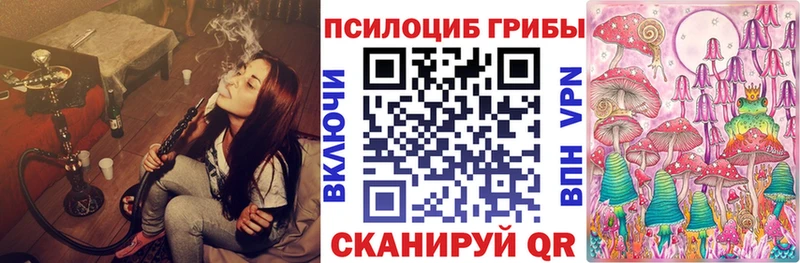 Купить  Ступино  Псилоцибиновые грибы мицелий 